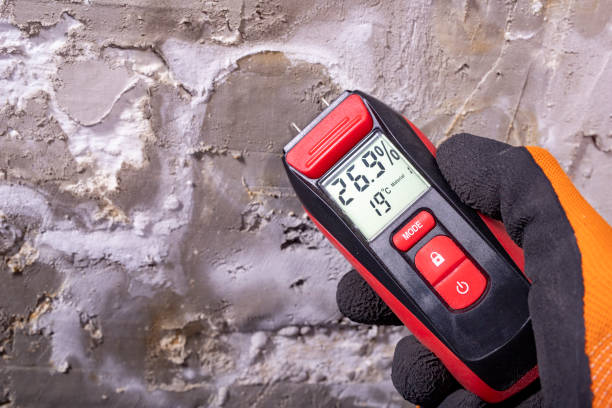 Best Mold Remediation  in Midway South, TX
