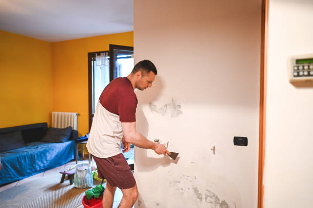 Best Local Mold Removal Service  in Midway South, TX